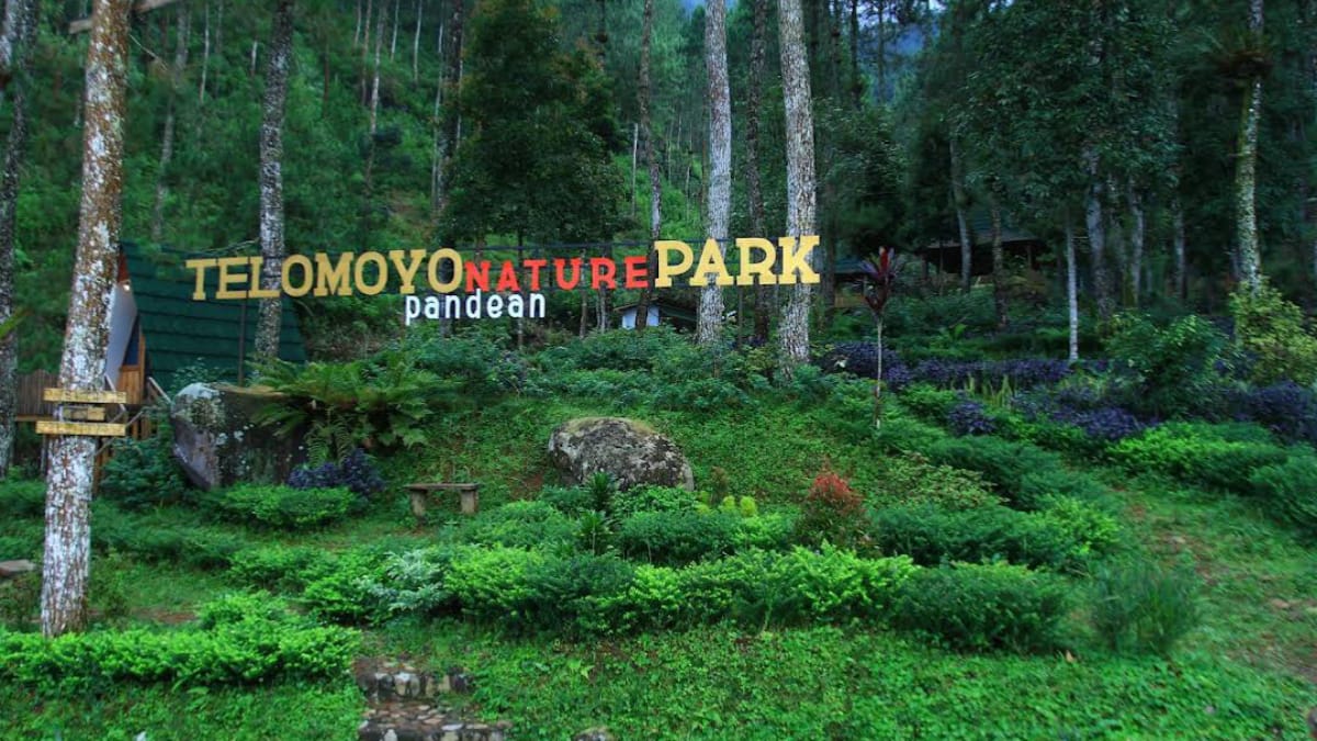 Telomoyo Nature Park: Destinasi Menikmati Alam yang Menakjubkan